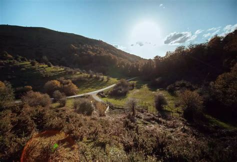 selva de irati verano|10 lugares que ver en la Selva de Irati y alrededores + Consejos